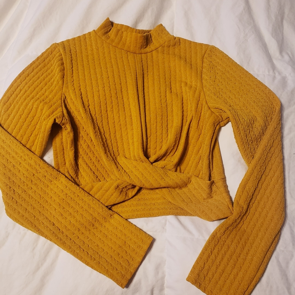 Sparkly long sleeve crop top